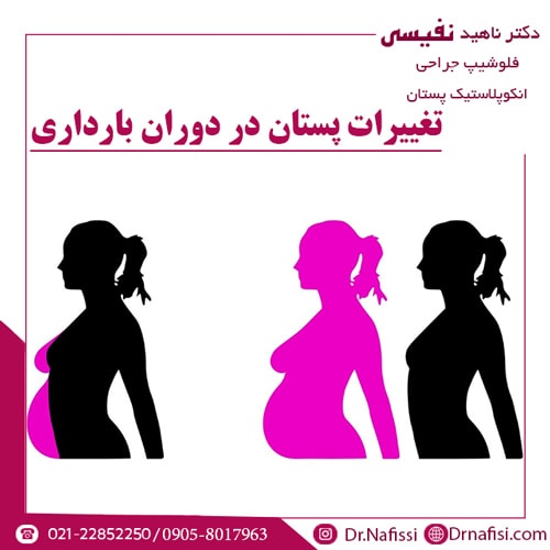 تغییرات پستان در دوران بارداری